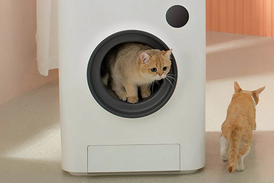 best automatic litter boxes