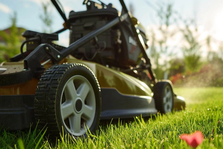 self propeled lawn mower